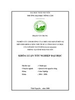 Nghiên cứu ảnh hưởng của chiều dài sợi gỗ đến sự biến đổi khối lượng thể tích và tính chất cơ học của gỗ keo tai tượng(acacia mangium) trồng tại tỉnh thái nguyên 