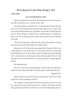 Đề ôn thi học kì 2 môn Tiếng việt lớp 5 – Năm 2019 – Đề số 2