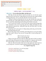 phiếu học tập tuần 28  tiểu học huỳnh mẫn đạt