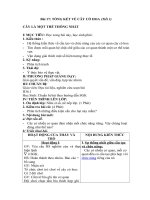 Tải Giáo án môn Sinh học lớp 6 bài 17 - Tổng kết về cây có hoa