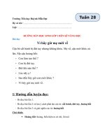 phiếu học tập tuần 28  tiểu học huỳnh mẫn đạt