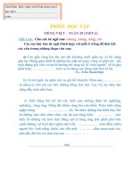 phiếu học tập tuần 28  tiểu học huỳnh mẫn đạt