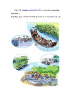 Tải Giải SGK Tự nhiên và xã hội 1 bài 20: An toàn trên đường đi học - Soạn Tự nhiên và xã hội lớp 1