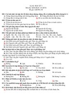 Download 40 câu hỏi trắc nghiệm đề thi HKI sinh học 10