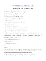 Tải Cấu trúc đề thi giữa kì 2 tiếng Anh lớp 6 năm 2020 - 2021 - Cấu trúc đề thi giữa học kì 2 lớp 6 môn tiếng Anh