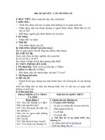 Tải Giáo án môn Sinh học lớp 6 bài 18 - Quyết - Cây dương xỉ