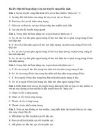 Tải Trắc nghiệm Sinh học lớp 11 bài 29: Điện thế hoạt động và sự lan truyền xung thần kinh - Bài tập trắc nghiệm sinh học 11 có đáp án