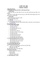 Tải Giáo án môn Sinh học lớp 7 bài 27 - Châu chấu