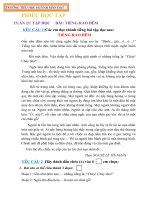 Phiếu học tập Tuần 21