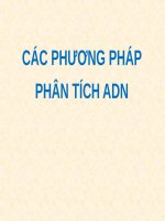 CÁC PHƯƠNG PHÁP PHÂN TÍCH ADN (DI TRUYỀN học) (chữ biến dạng do slide dùng font VNI times, tải về xem bình thường) 