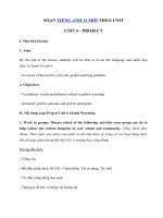 Tải Tiếng Anh 11 Unit 6: Project - Soạn Tiếng Anh lớp 11 Unit 6 Global Warming trang 17