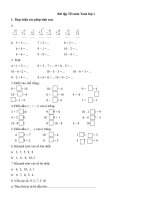 Bài tập Tết lớp 1 môn Toán 2021
