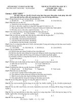 Nội dung ôn tập kiểm tra cuối kì - Học kỳ I - năm học 2020-2021
