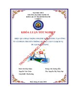 Hiệu quả hoạt động online marketing tại công ty cổ phần truyền thông quảng cáo và dịch vụ du lịch đại bàng 