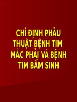 CHỈ ĐỊNH PHẪU THUẬT BỆNH TIM  mắc PHẢI và BỆNH TIM bẩm SINH (hồi sức cấp cứu CHỐNG độc) 