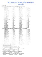 Download Ôn Thi HK1 Nhiều Dạng