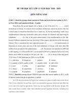 20 đề thi tiếng anh lớp 11 học kì 2 mới nhất