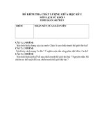 Download Đề kiểm tra giữa HKI sử 9- có đáp án