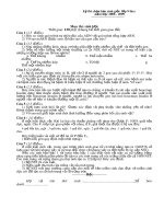 Download Đề thi HSG môn sinh học 9 kì  2