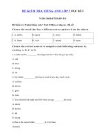 Tải 2 Đề kiểm tra 15 phút học kì 2 môn tiếng Anh lớp 7 có đáp án - Đề kiểm tra 15 phút lớp 7 môn tiếng Anh có đáp án - 2 Đề