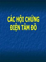 CÁC hội CHỨNG điện tâm đồ (BỆNH học nội) 