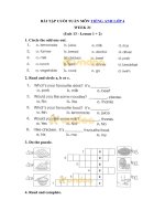 Bài tập tiếng anh lớp 4 tuần 21