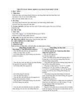 Tải Giáo án môn Vật lý lớp 11 bài 2 - Thuyết electron - Định luật bảo toàn điện tích