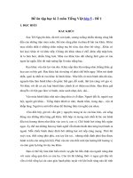 Đề ôn thi học kì 2 môn Tiếng việt lớp 5 – Năm 2019 – Đề số 1