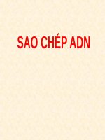 SAO CHÉP ADN (DI TRUYỀN học) (chữ biến dạng do slide dùng font VNI times, tải về xem bình thường) 