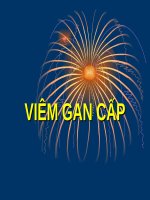 VIÊM GAN cấp (BỆNH học nội) (chữ biến dạng do slide dùng font VNI times, tải về xem bình thường) 