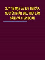SUY TIM mạn và SUY TIM cấp NGUYÊN NHÂN, BIỂU HIỆN lâm SÀNG và CHẨN đoán (BỆNH học nội) 