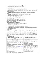 Tải Giáo án môn Sinh học lớp 6 bài 21 - Nấm