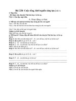 Tiếng Việt lớp 3 - bài 22b: Cuộc sống, khởi nguồn sáng tạo.