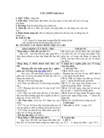 Tải Giáo án môn Ngữ văn lớp 8 bài 38 - Câu ghép