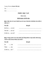 Phiếu học tập tuần 21