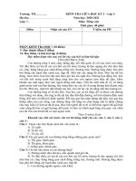 Đề thi giữa học kì 1 lớp 5 môn Tiếng Việt 2020