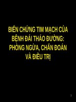 BIẾN CHỨNG TIM MẠCH của BỆNH đái THÁO ĐƯỜNG, PHÒNG NGỪA, CHẨN đoán và điều TRỊ (BỆNH học nội) (chữ biến dạng do slide dùng font VNI times, tải về xem bình thường) 