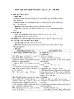 Tải Giáo án môn Sinh học lớp 11 bài 9 - Quang hợp ở thực vật C3, C4 và CAM