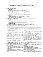 Tải Giáo án môn Sinh học lớp 11 bài 5 - Dinh dưỡng nitơ ở thực vật