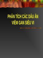 PHÂN TÍCH các dấu ấn VIÊM GAN SIÊU VI (BỆNH học nội) (chữ biến dạng do slide dùng font VNI times, tải về xem bình thường) 