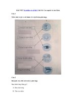 Tải Giải vở bài tập Tự nhiên và Xã hội 1 bài 10: Con người và sức khỏe - Giải VBT môn Tự nhiên và Xã hội lớp 1