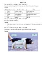 Tải Giải vở bài tập môn Tự nhiên xã hội 3 bài 54: Thú - Hướng dẫn giải VBT Tự nhiên và xã hội lớp 3