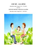 Giáo án chủ đề gia đình tuần 10 nhánh 3 tuần chính
