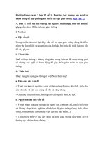 Tải Bài tập làm văn số 2 lớp 12 đề 1: Tuổi trẻ học đường suy nghĩ và hành động để góp phần giảm thiểu tai nạn giao thông - 2 bài văn mẫu lớp 12