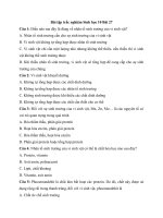 Tải Trắc nghiệm Sinh học 10 bài 27 - Các yếu tố ảnh hưởng đến sinh trưởng của vi sinh vật