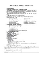 Tải Giáo án môn Sinh học lớp 7 bài 5 - Trùng biến hình và trùng giày