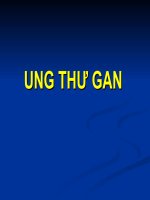 UNG THƯ GAN (BỆNH học nội) 