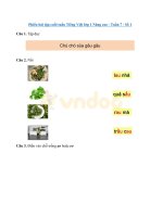 Tải Phiếu bài tập cuối tuần Tiếng Việt 1 nâng cao Tuần 7 Số 1 - Đề kiểm tra Tiếng Việt cuối tuần lớp 1 Sách Chân trời sáng tạo