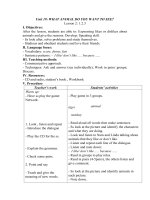 Tải Giáo án Tiếng Anh lớp 4 Unit 19: What animal do you want to see - Lesson 2 - Giáo án điện tử môn Tiếng Anh lớp 4