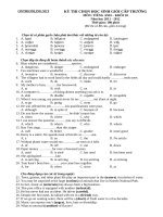 Download Đề thi HSG cấp trường lớp 10 môn Tiếng anh